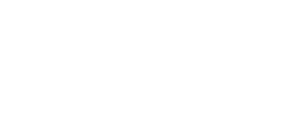 Praxis Global Institute
